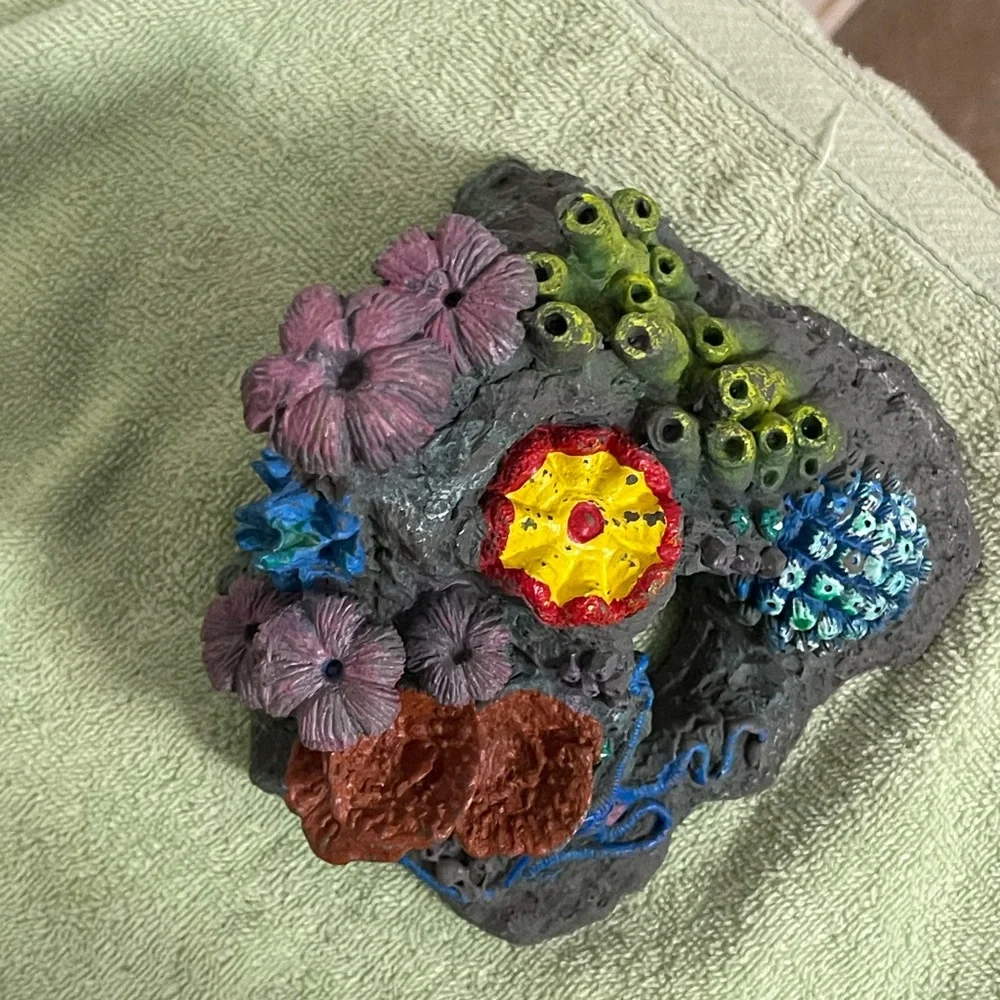 N/A beautiful coral